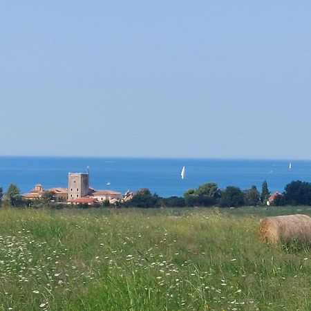 Apartments Henc Novigrad Istria Dış mekan fotoğraf
