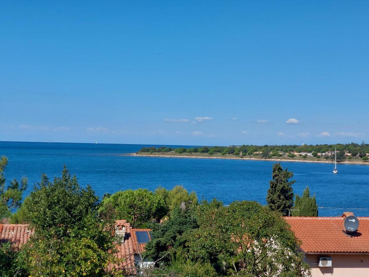 Apartments Henc Novigrad Istria Dış mekan fotoğraf