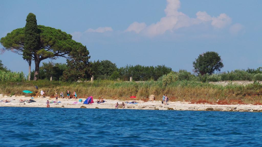 Apartments Henc Novigrad Istria Oda fotoğraf