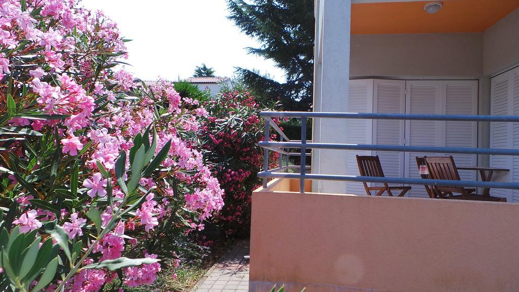 Apartments Henc Novigrad Istria Oda fotoğraf