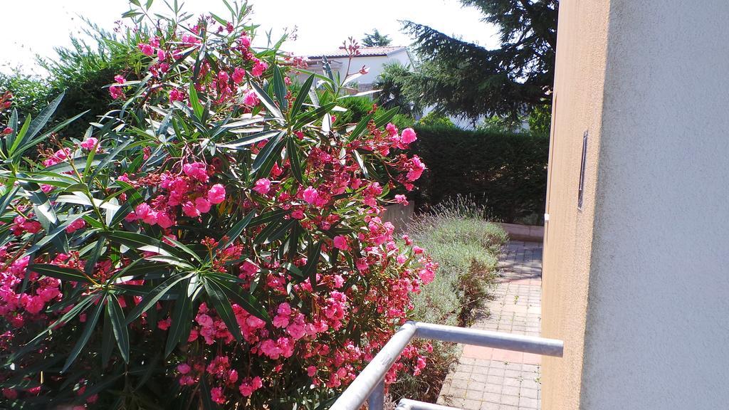 Apartments Henc Novigrad Istria Dış mekan fotoğraf