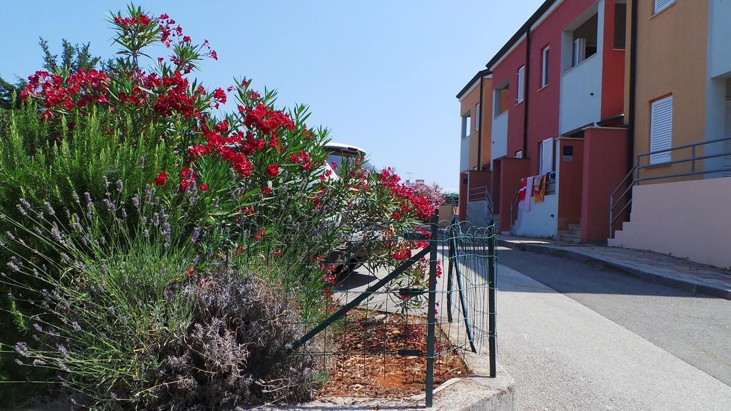 Apartments Henc Novigrad Istria Dış mekan fotoğraf