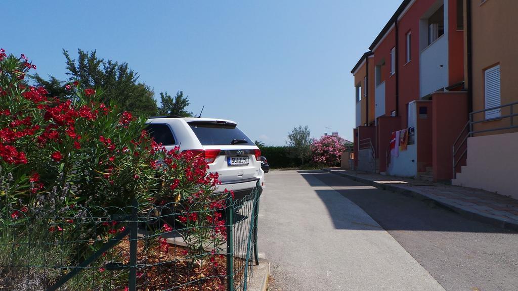 Apartments Henc Novigrad Istria Dış mekan fotoğraf