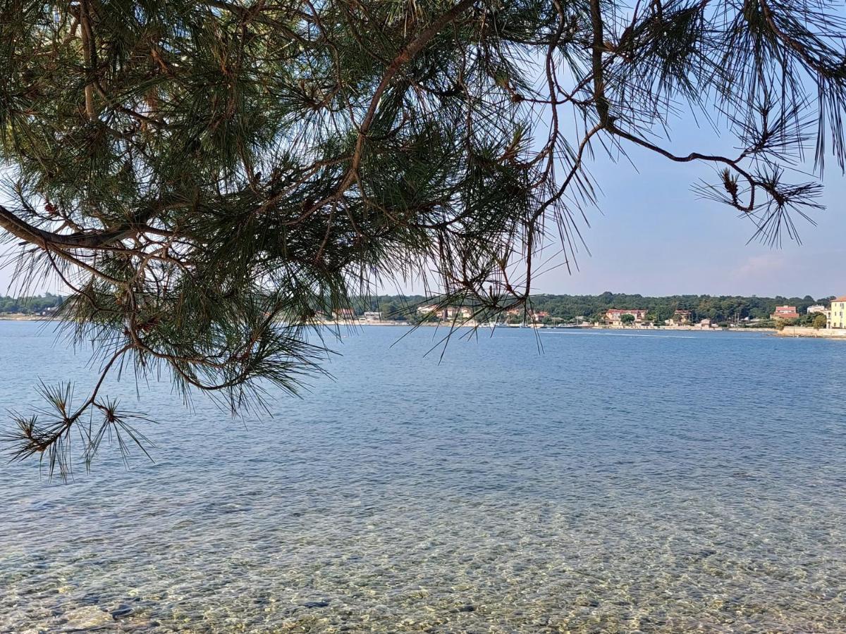 Apartments Henc Novigrad Istria Dış mekan fotoğraf