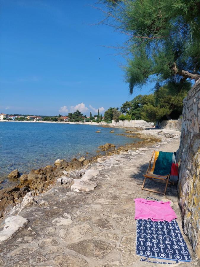 Apartments Henc Novigrad Istria Dış mekan fotoğraf