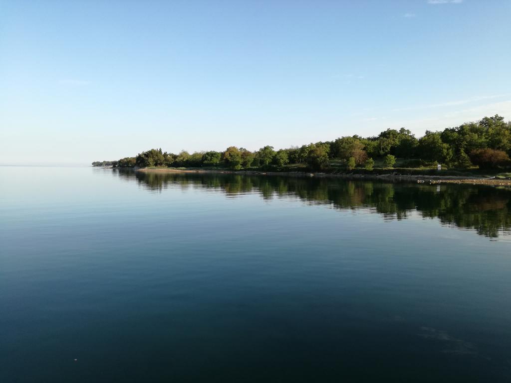Apartments Henc Novigrad Istria Dış mekan fotoğraf